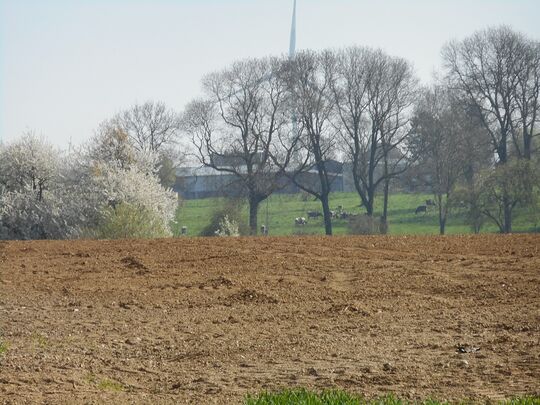 Paysage de Morval la plaine